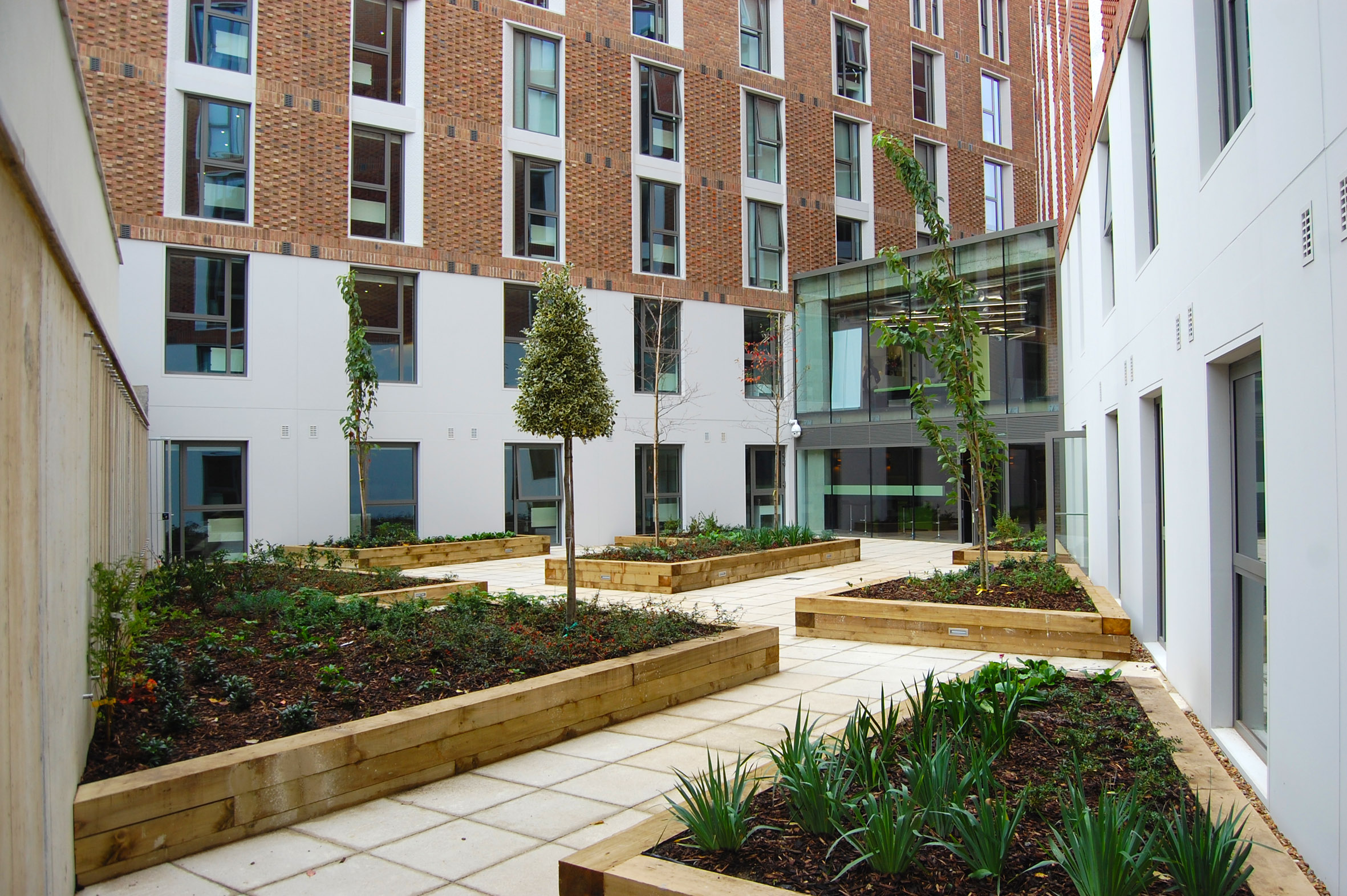 Davis Landscape Architecture Ravenscourt House London Student