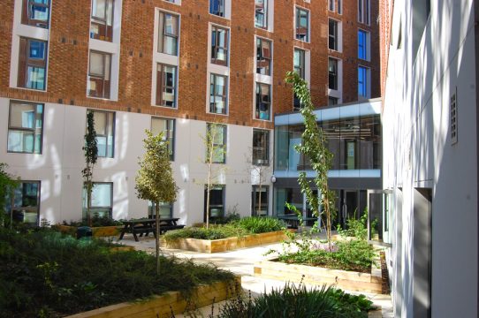 Davis Landscape Architecture Ravenscourt House London Student Accommodation Landscape Architect Courtyard 1