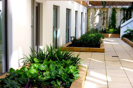 Davis Landscape Architecture Ravenscourt House London Student Accommodation Landscape Architect Courtyard 2 Space