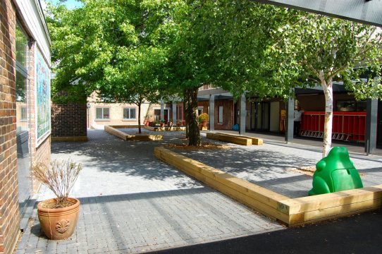 Davis Landscape Architecture Stanley Primary School London Landscape Complete Court Yard with Trees
