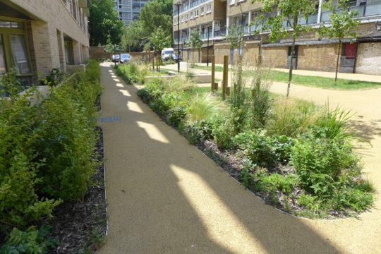 Davis Landscape Architecture Bancroft & Wickford Street Tower Hamlets Residential Landscape Architect Planting