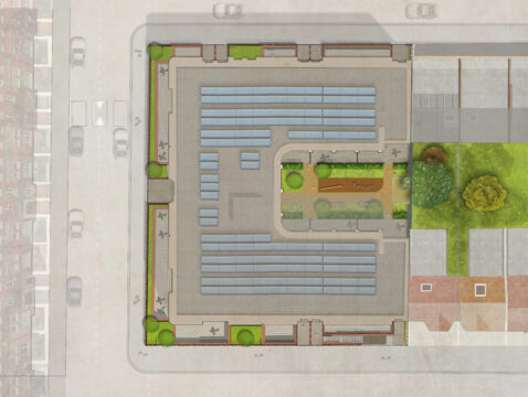Davis Landscape Architecture Palliser Road Barons Court Kensington and Chelesa Residential Landscape Architect Rendered Masterplan