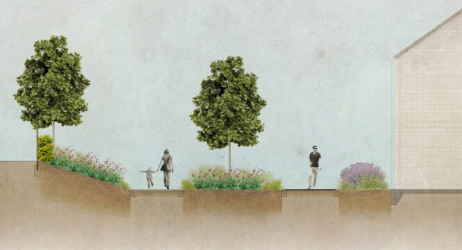 Davis Landscape Architecture Port Lane Hythe Colchester Residential Landscape Architect Design Render Path Section